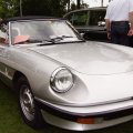 nagold2012060